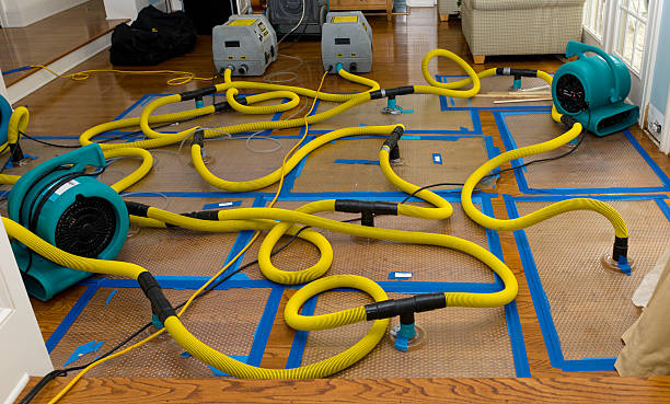 Professional Burst Pipe Water Damage technician working in Lyons, NJ